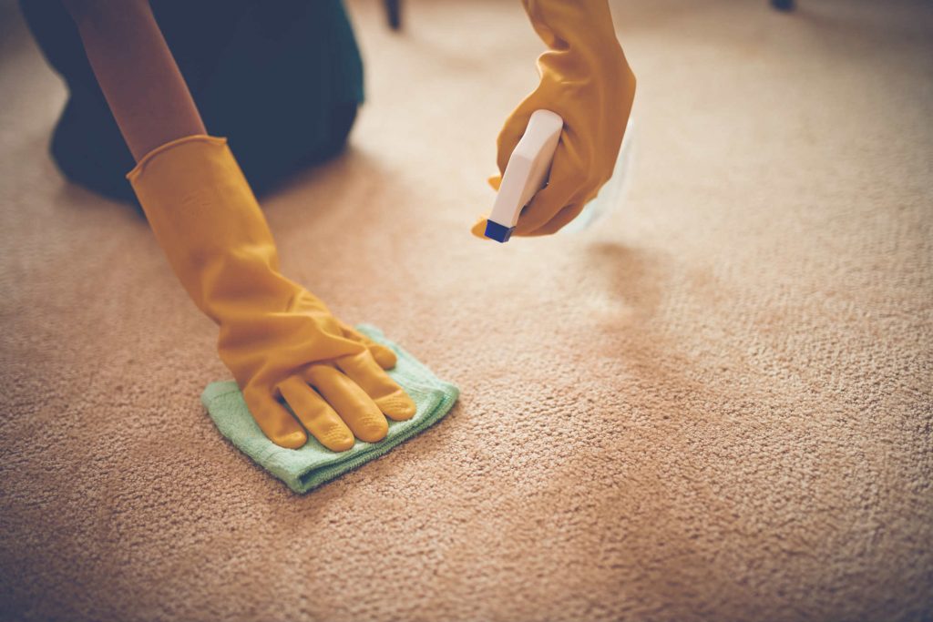 Carpet Cleaning Carpet Cleaning